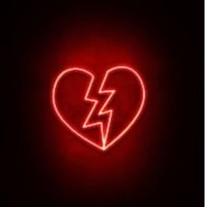 Meet your Posher, Max